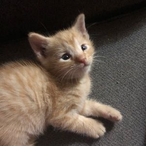 Meet your Posher, Jerri